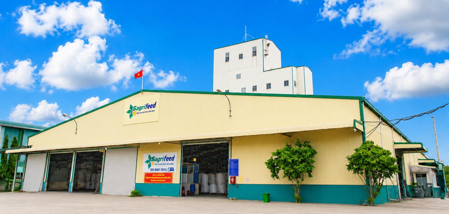 Cách lựa chọn thức ăn phù hợp cho từng giai đoạn phát triển